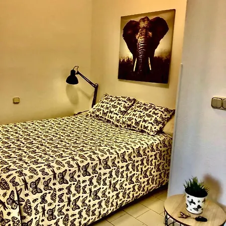 Miguel Angel Sunset Ocean View Apartmán