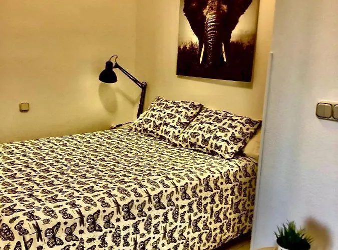 Miguel Angel Sunset Ocean View 아파트