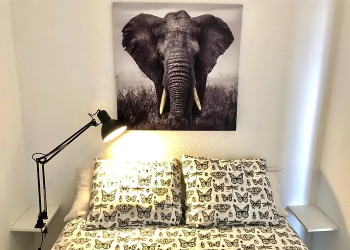 Miguel Angel Sunset Ocean View